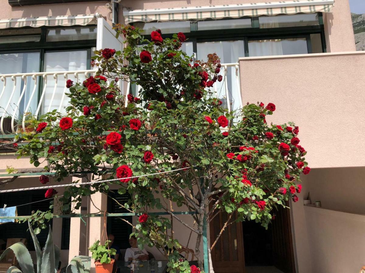 Villa Oliva Макарска Екстериор снимка